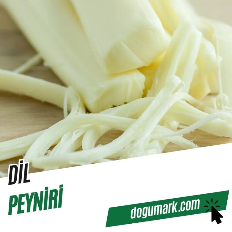 DIL PEYNIRI